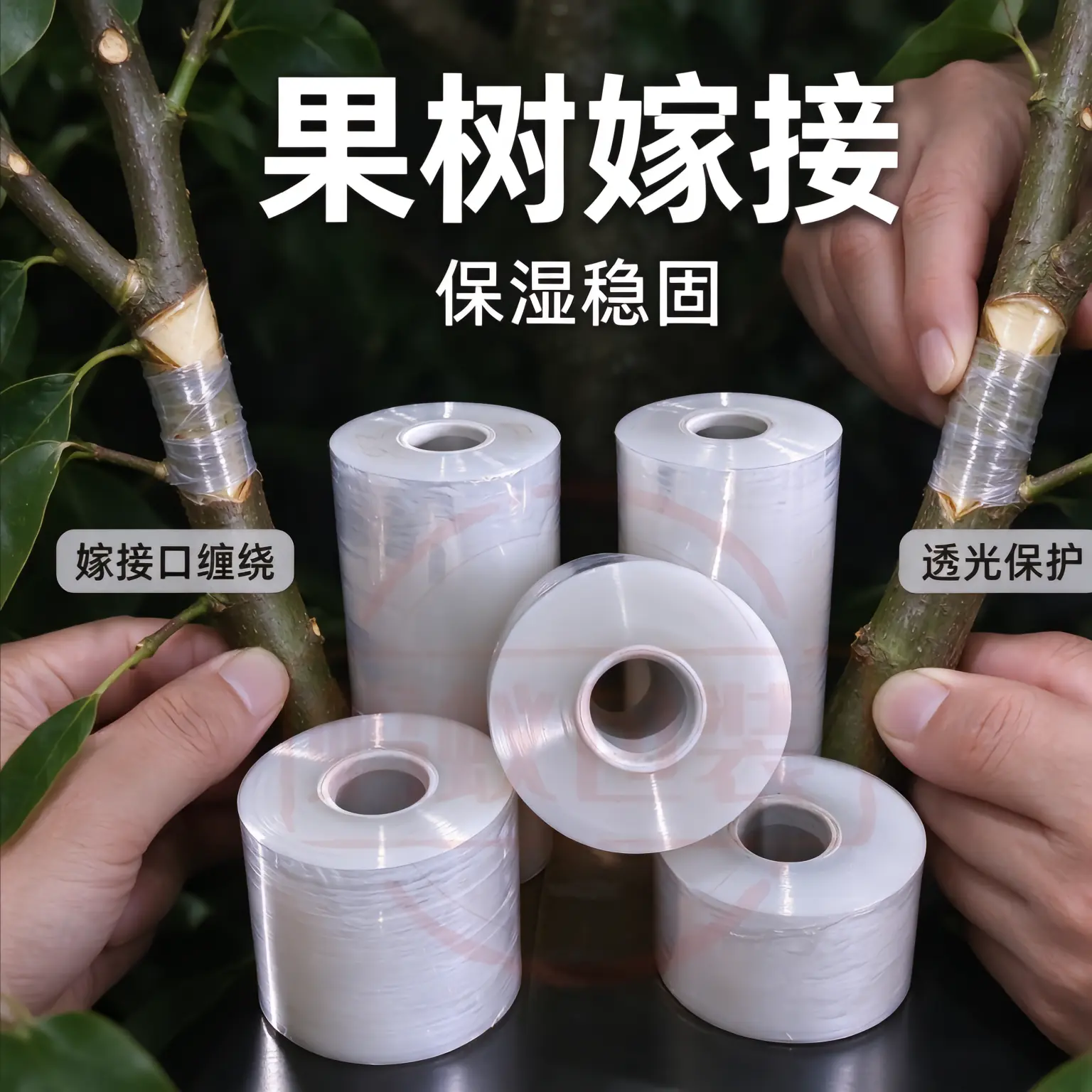 缠绕膜 果树嫁接场景